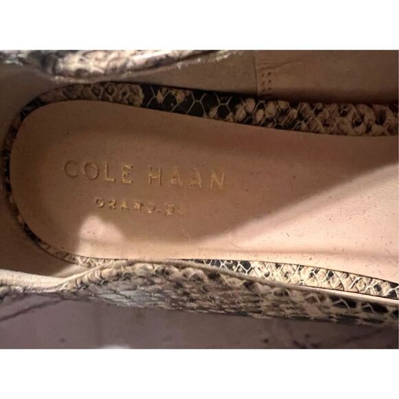 Cole Haan Size 6.5 Pointed Toe Ankle Strap Flats Snakeskin Print Neutral Spring - Picture 9 of 13